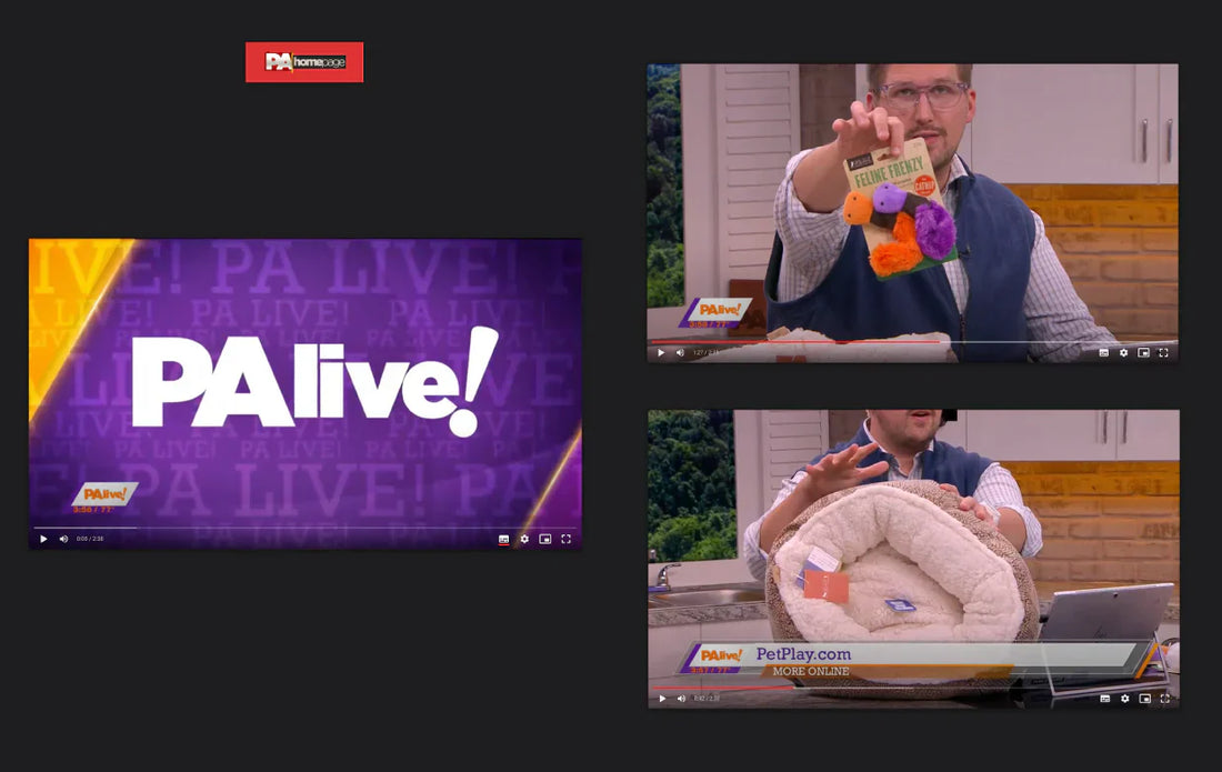 P.L.A.Y.'s&nbsp;Coral Cove Snuffle Mat&nbsp;and&nbsp;ZoomieRex EverLick Mat&nbsp;were featured in&nbsp;Bloom Tampa Bay's&nbsp;"Spoil Your Pups this Summer with these Pet Products".