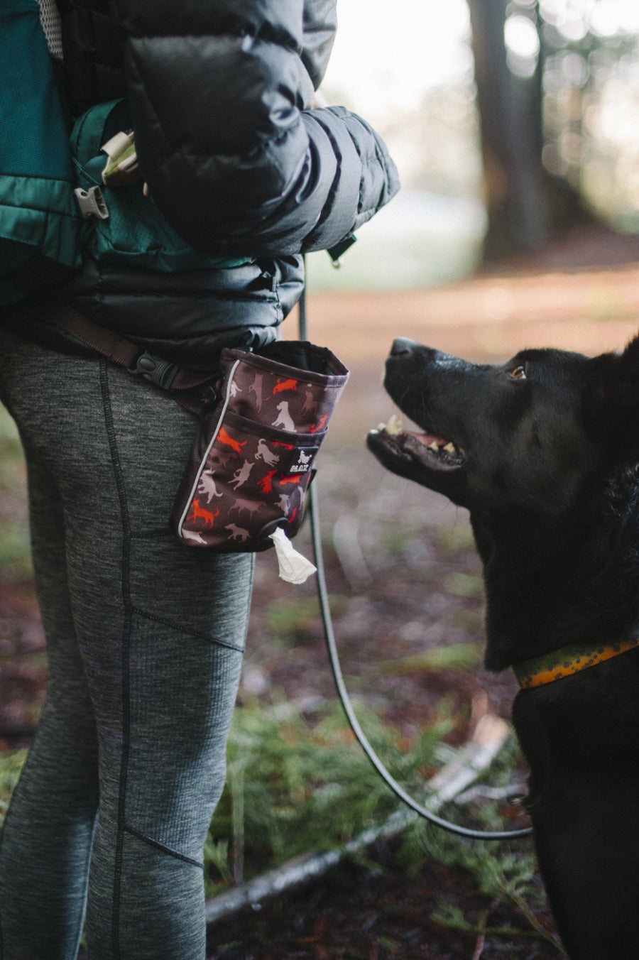 Deluxe Training Pouch
