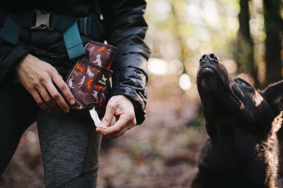 Deluxe Training Pouch