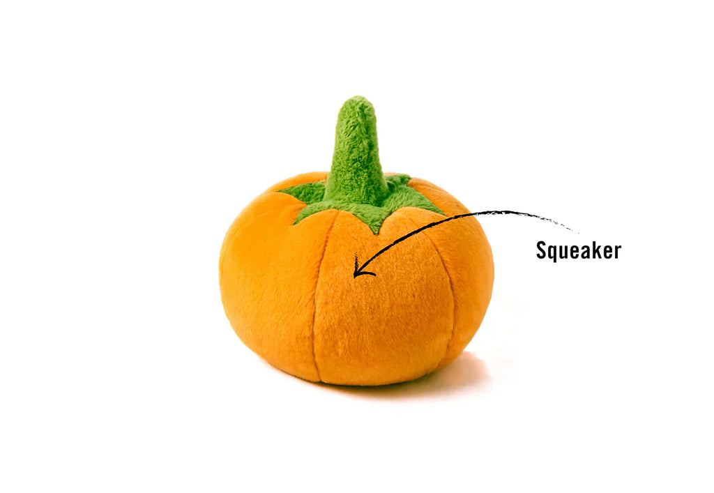 Garden Fresh (Mini) Pumpkin XS - Dog Toys