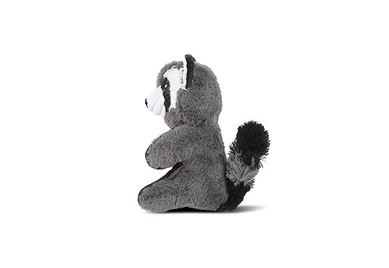 Forest Friends - Robby the Raccoon