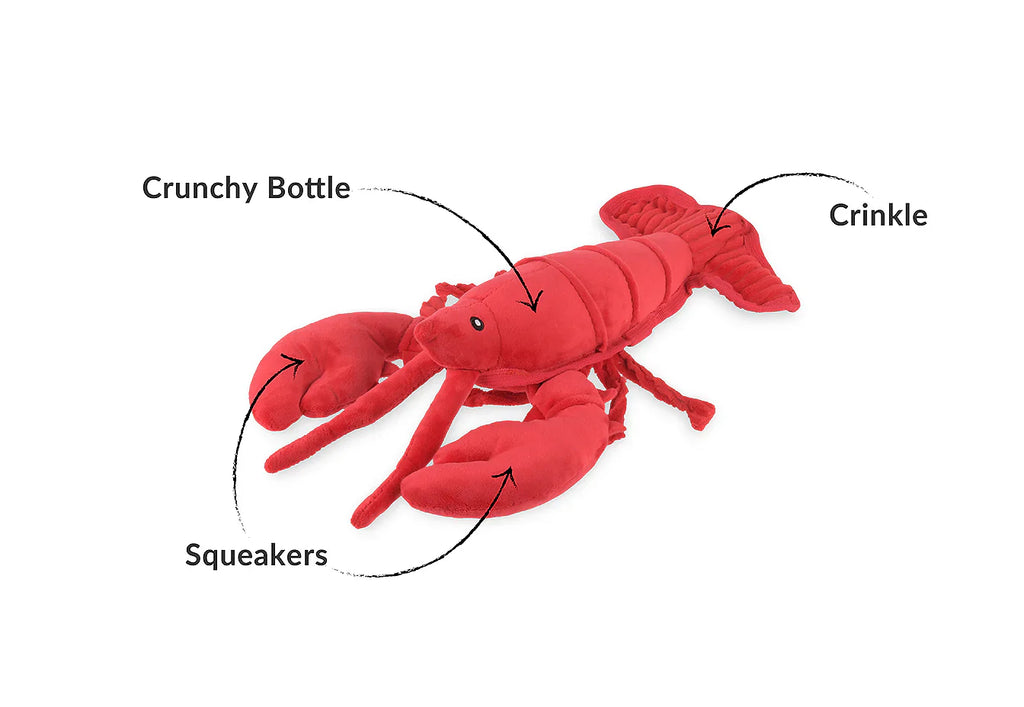 Ocean Buddies - Lobster  - Dog Toys