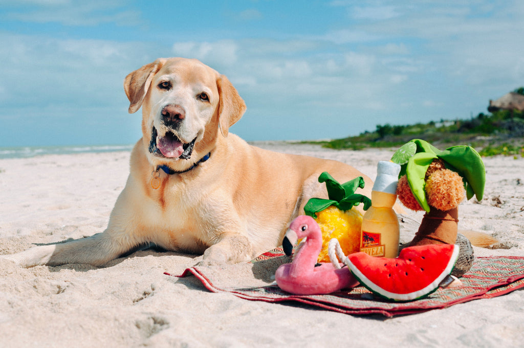 Tropical Paradise Wagging Watermelon