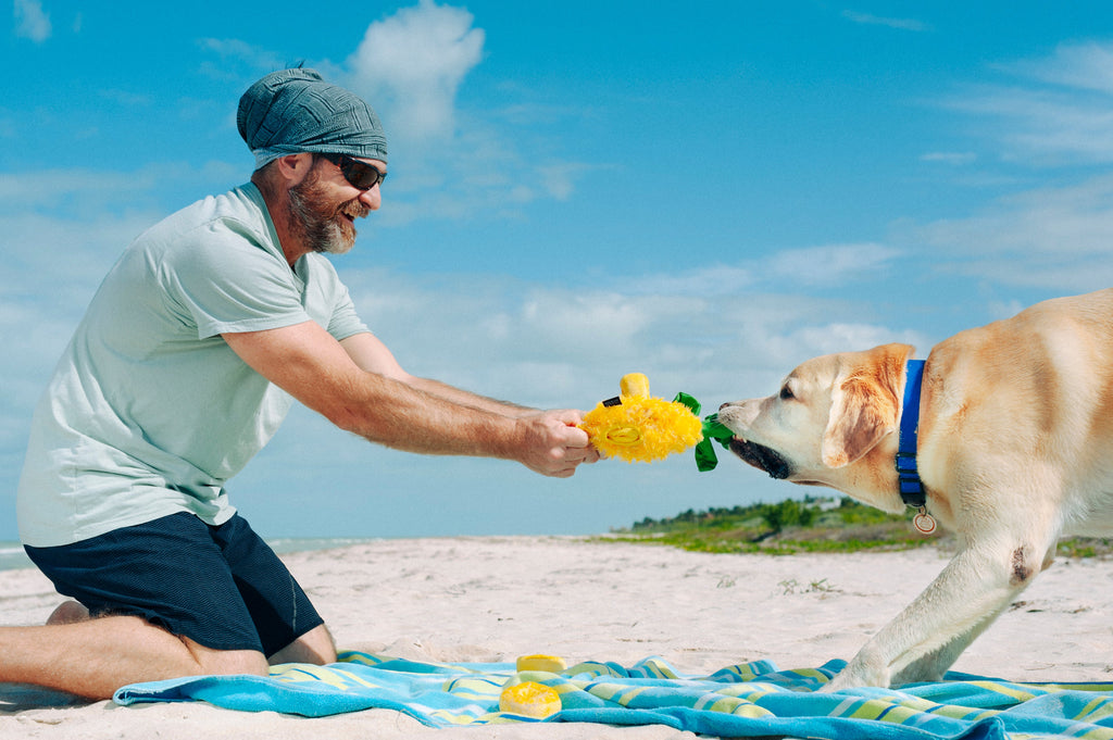 Tropical Paradise Paws Up Pineapple