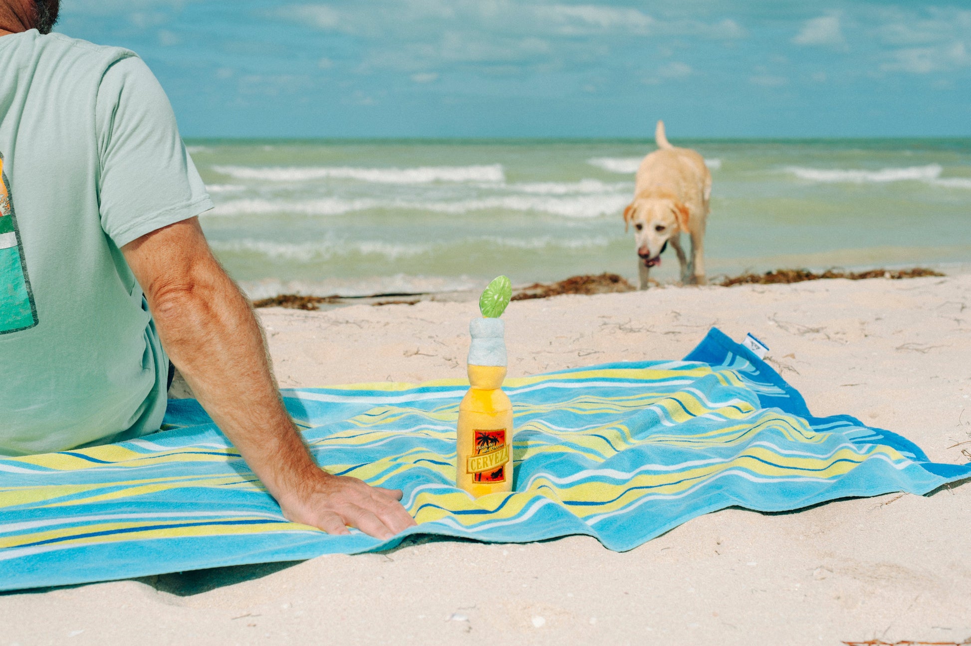 Tropical Paradise Canine Cerveza
