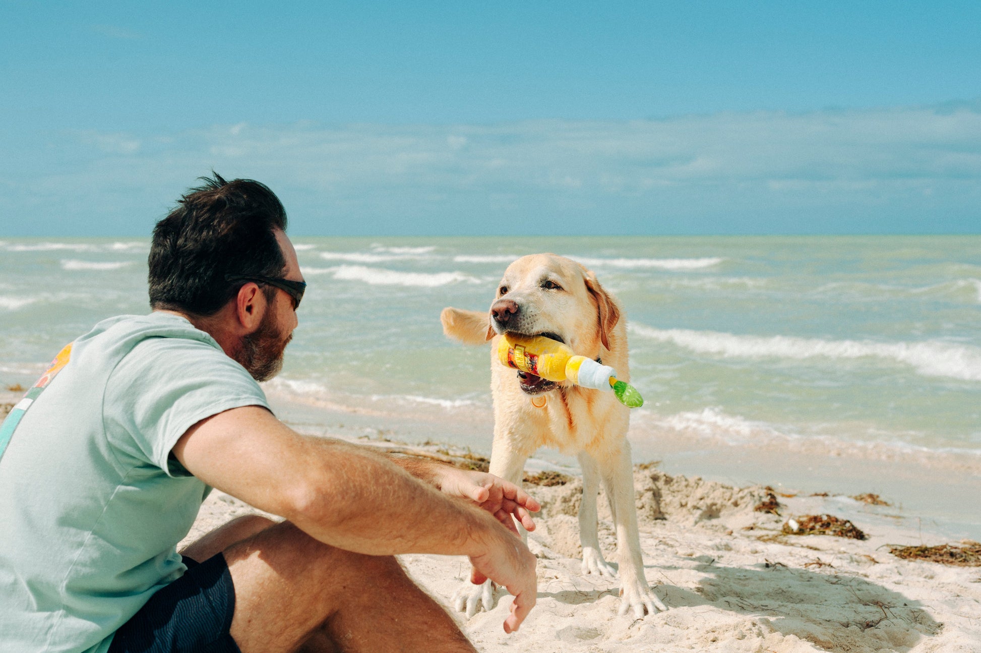 Tropical Paradise Canine Cerveza