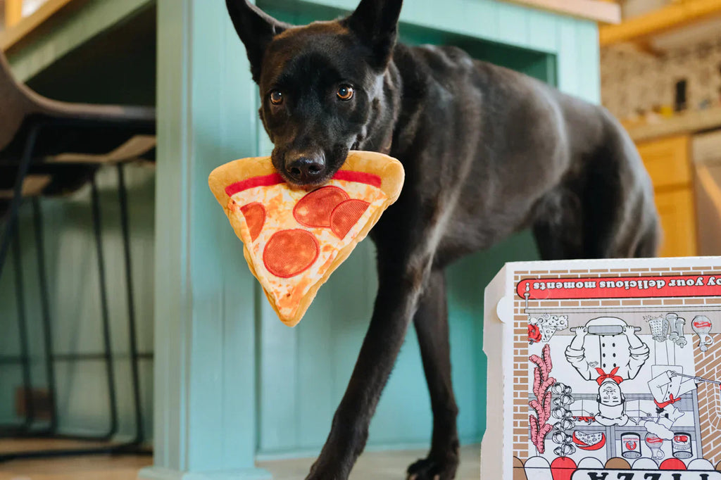 Snack Attack (Mini) PizzaSlice XS  - Dog Toys