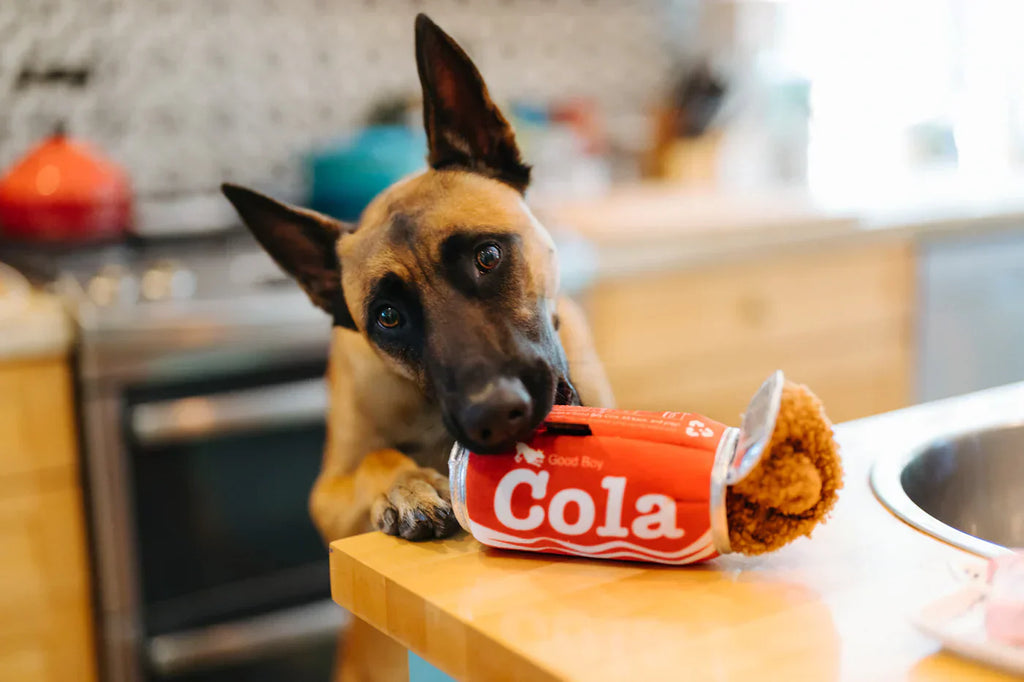 Snack Attack (Mini) Soda XS  - Dog Toys