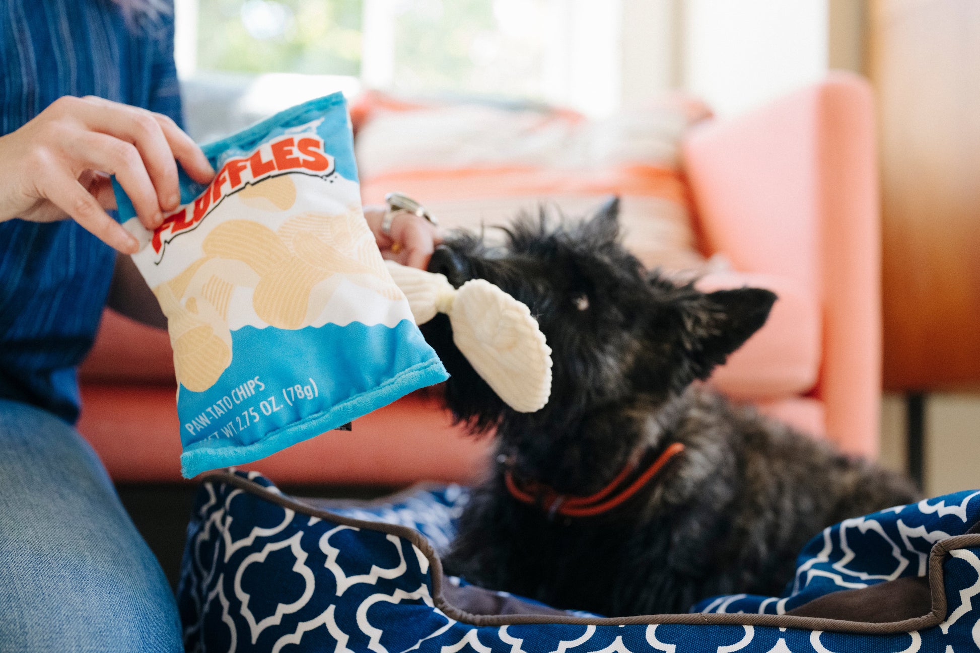 Snack Attack Fluffles Chips