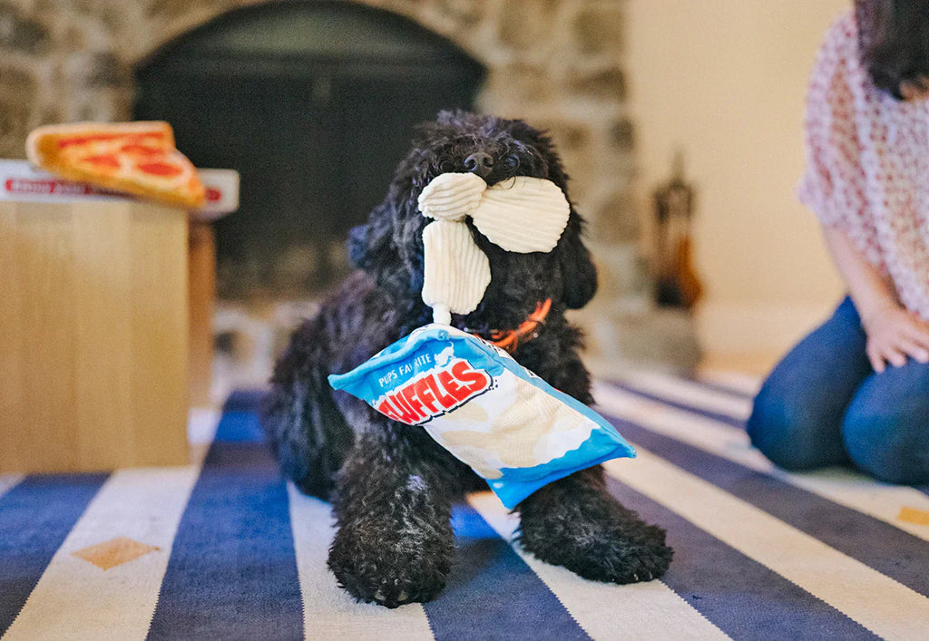 Snack Attack (Mini) Chips XS  - Dog Toys