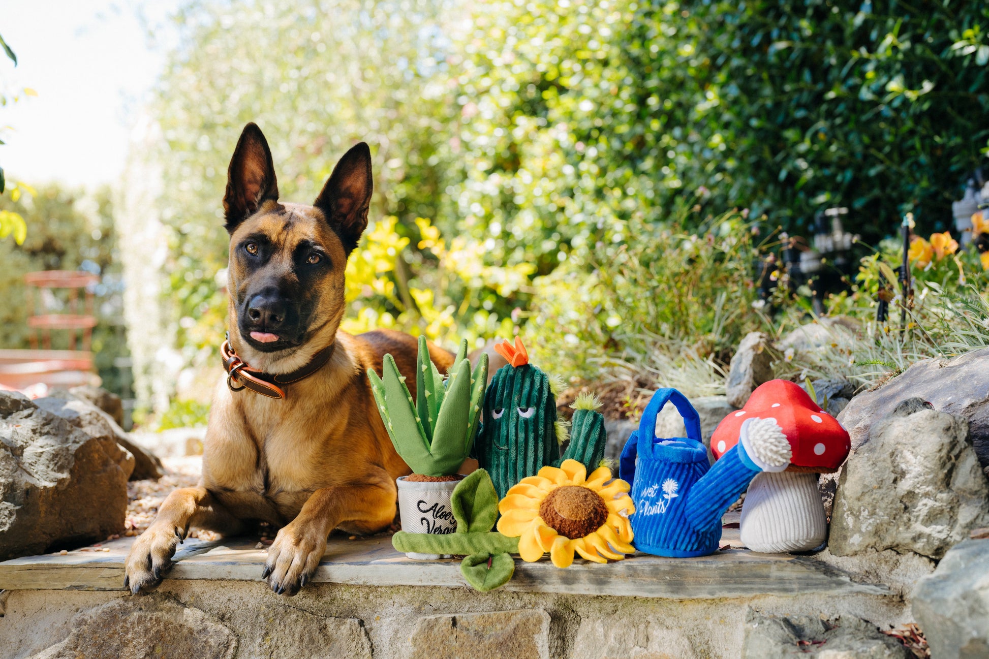 Blooming Buddies Wagging Watering Can