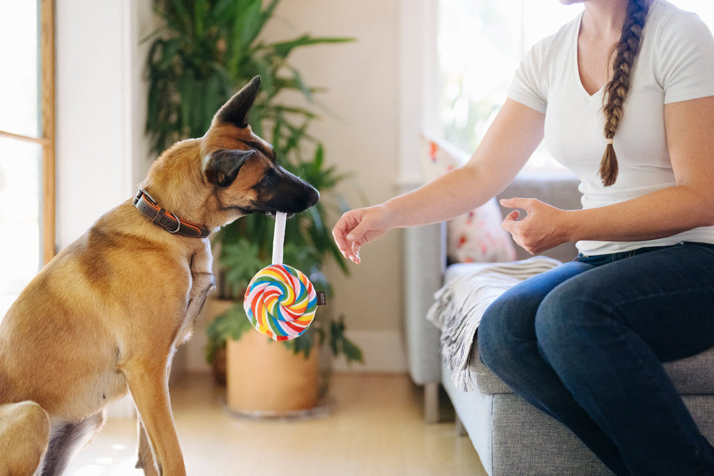 Snack Attack Lollipup