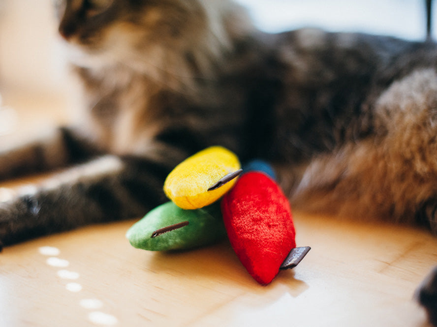 Feline Frenzy Christmas Lights Cat Toy Set of 3