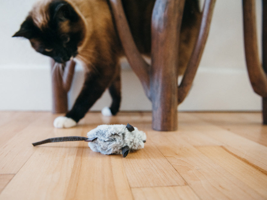 Feline Frenzy Mice Cat Toy Set of 2