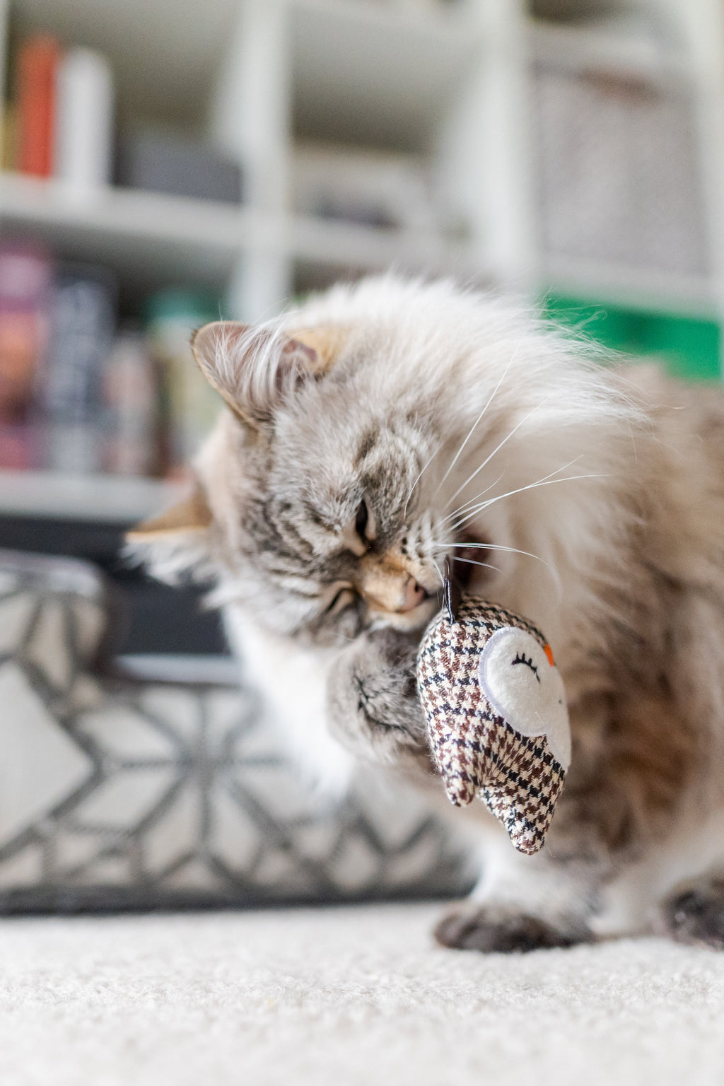 Feline Frenzy Hooti-ful Owls