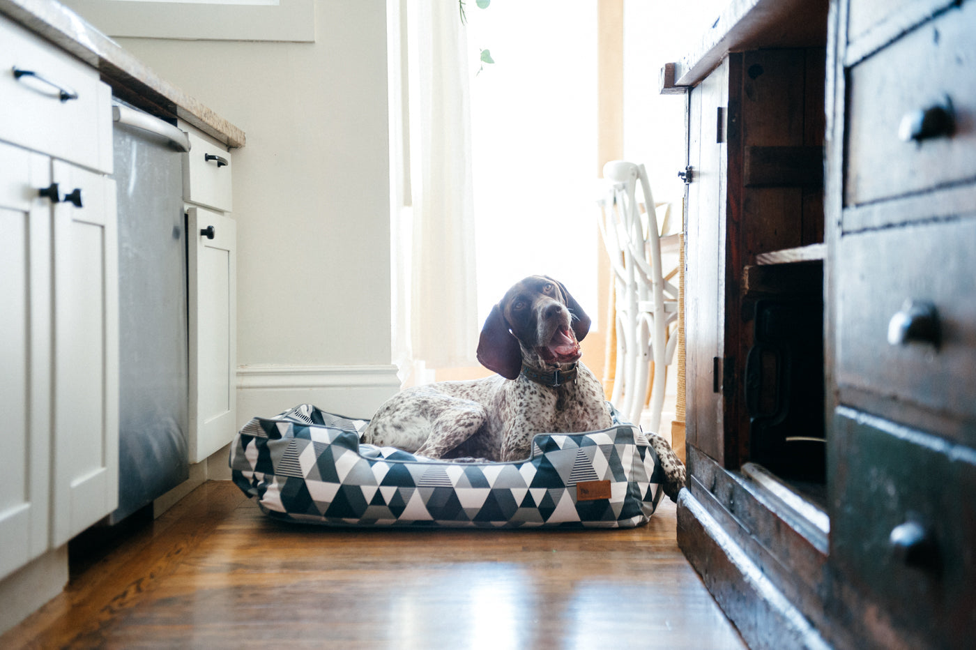 Mosaic Tuxedo Lounge Bed