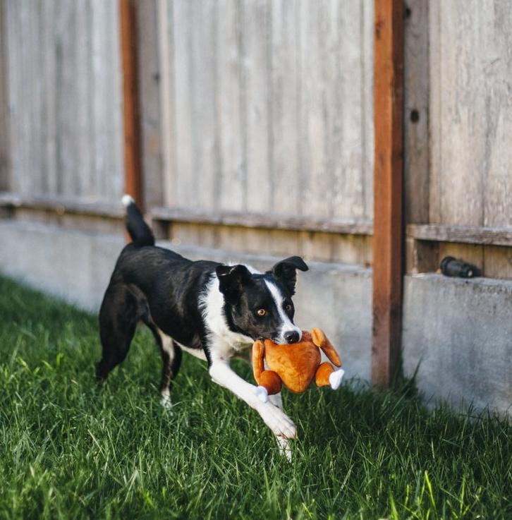 Christmas Roast Turkey Plush Toy
