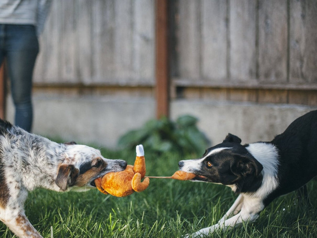 Christmas Roast Turkey Plush Toy