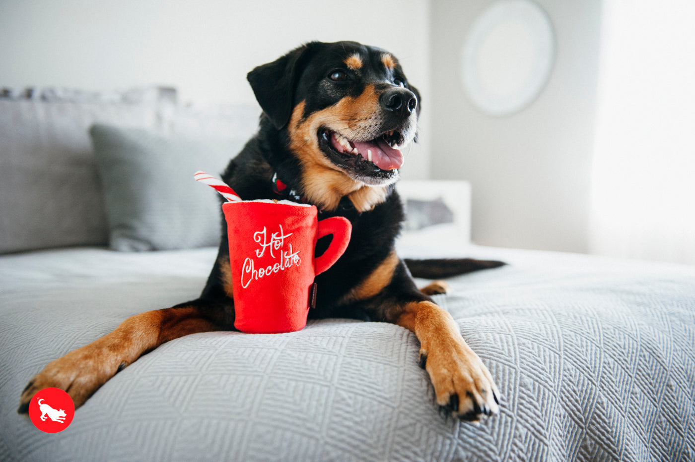 Christmas Hot Chocolate
