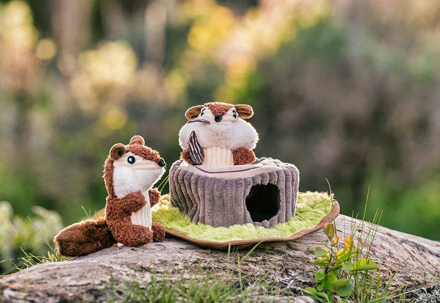 Forest Friends - Chippy and Cheeks the Chipmunks