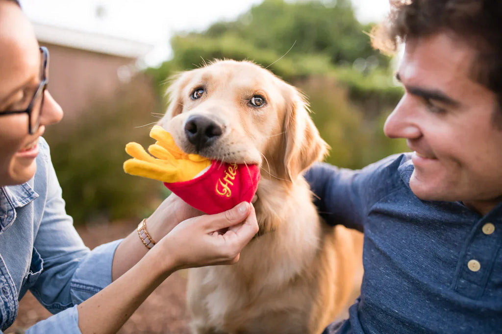 American Classic (Mini) French Fries XS  - Dog Toys