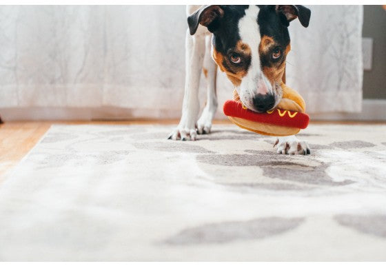 Hot Dog Plush Dog Toy