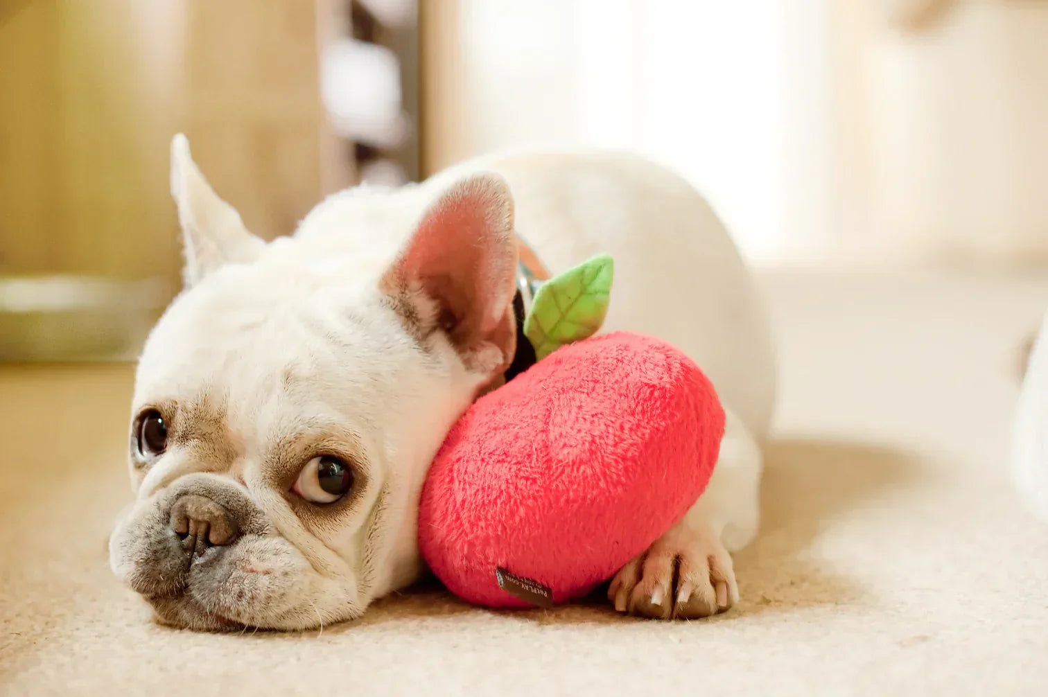 Garden Fresh (Mini) Apple XS - Dog Toys