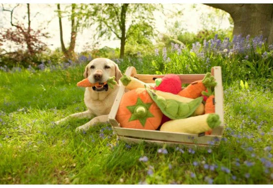 Garden Fresh (Mini) Carrot XS - Dog Toys