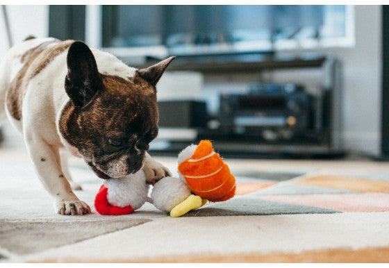 Sushi Plush Dog Toy