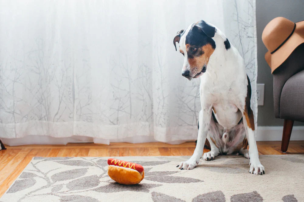 American Classic (Mini) Hot Dog XS - Dog Toys