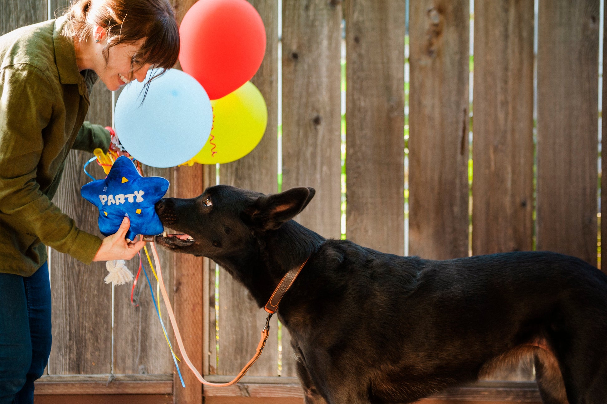 Party Time Best Day Ever Balloon Plush Dog Toy