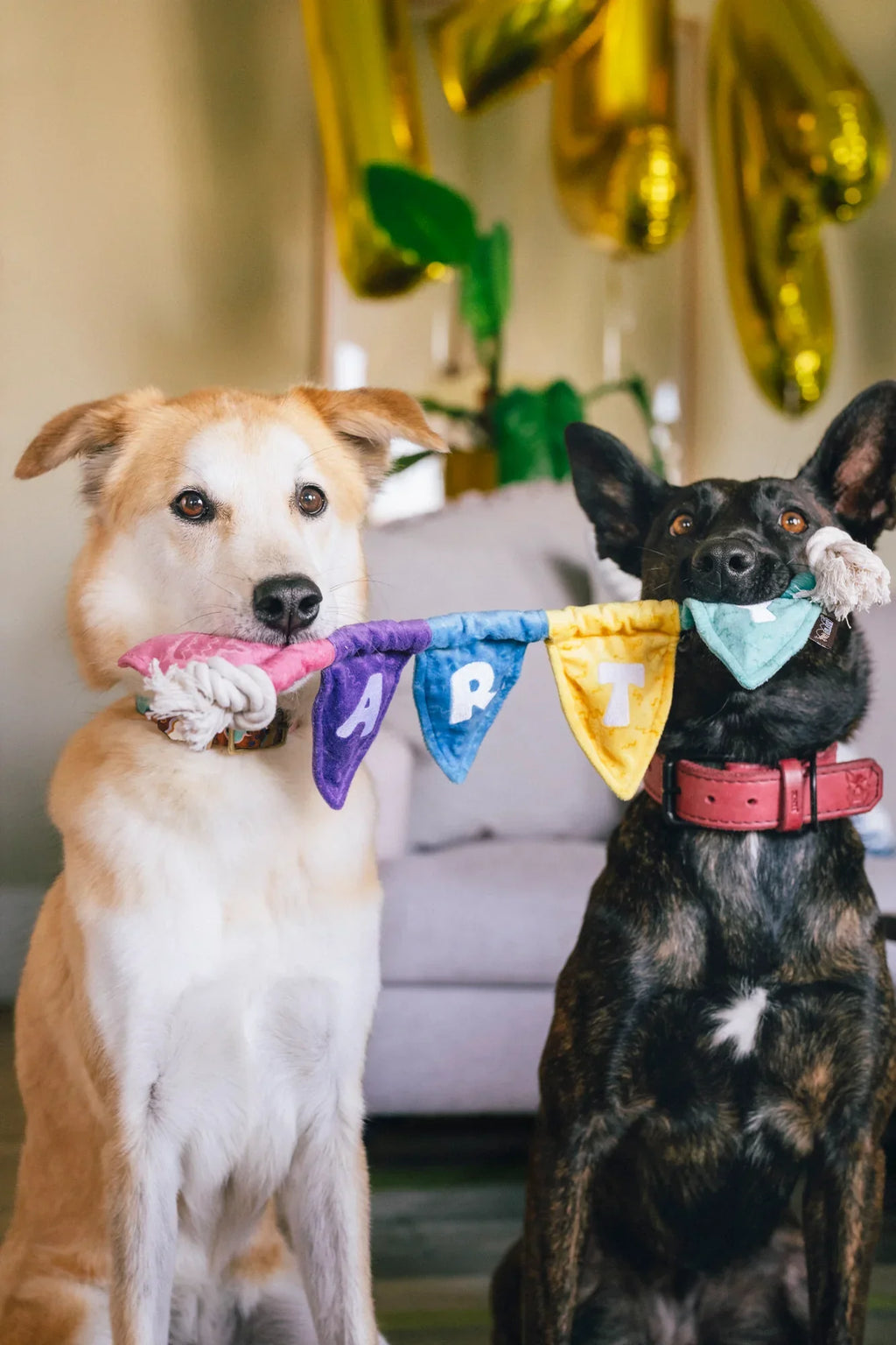 Party Animal - Party Flag - Dog Toys