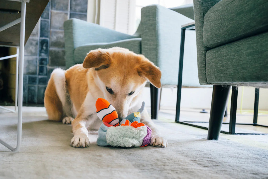 Ocean Buddies - Coral Burrow Toys S - Dog Toys