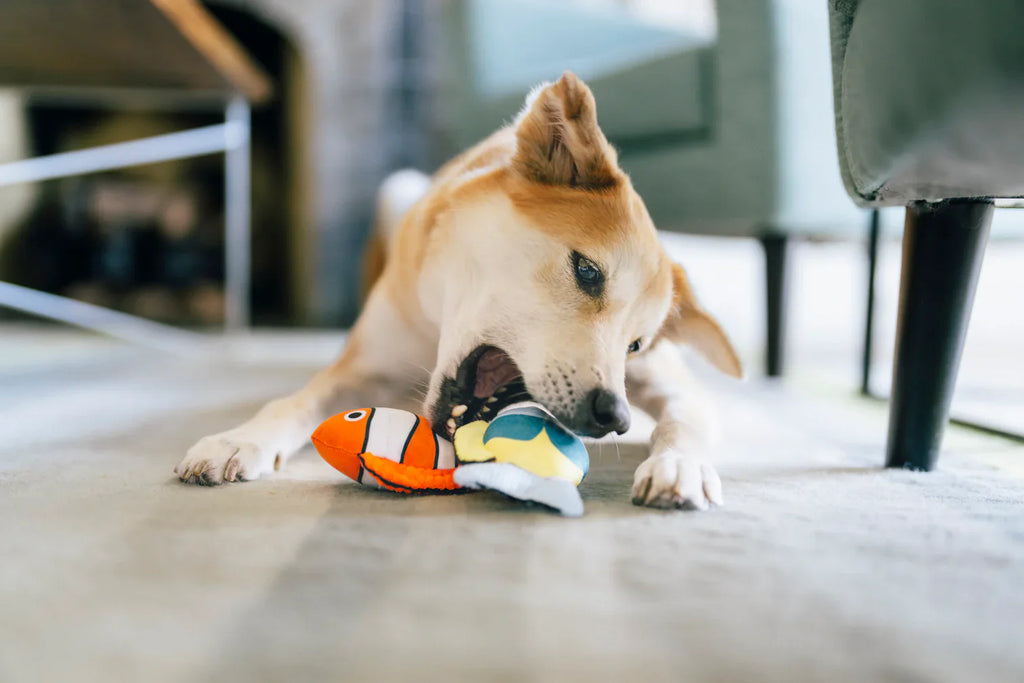 Ocean Buddies - Coral Burrow Toys S - Dog Toys