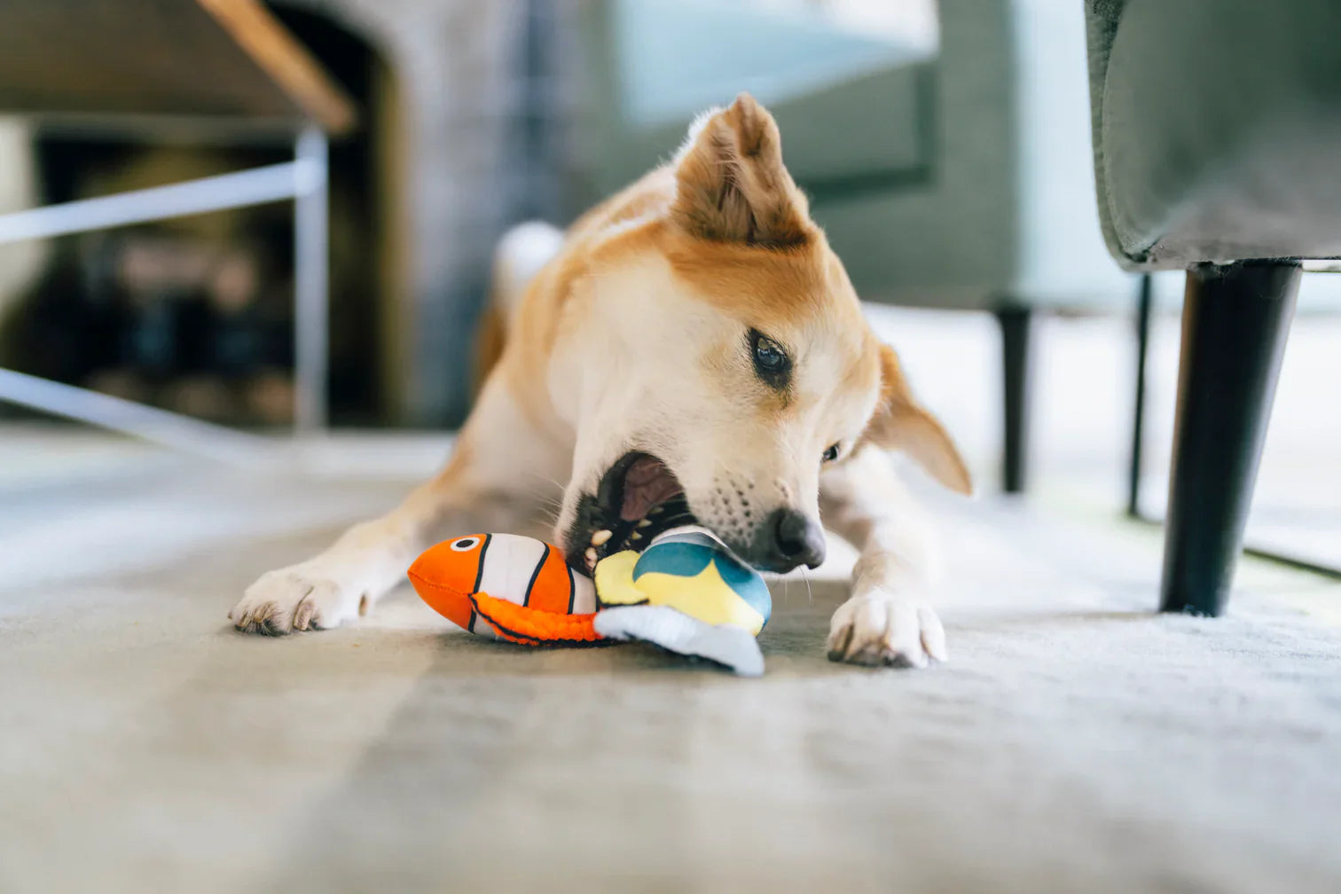 Ocean Buddies - Coral Burrow Toys S - Dog Toys