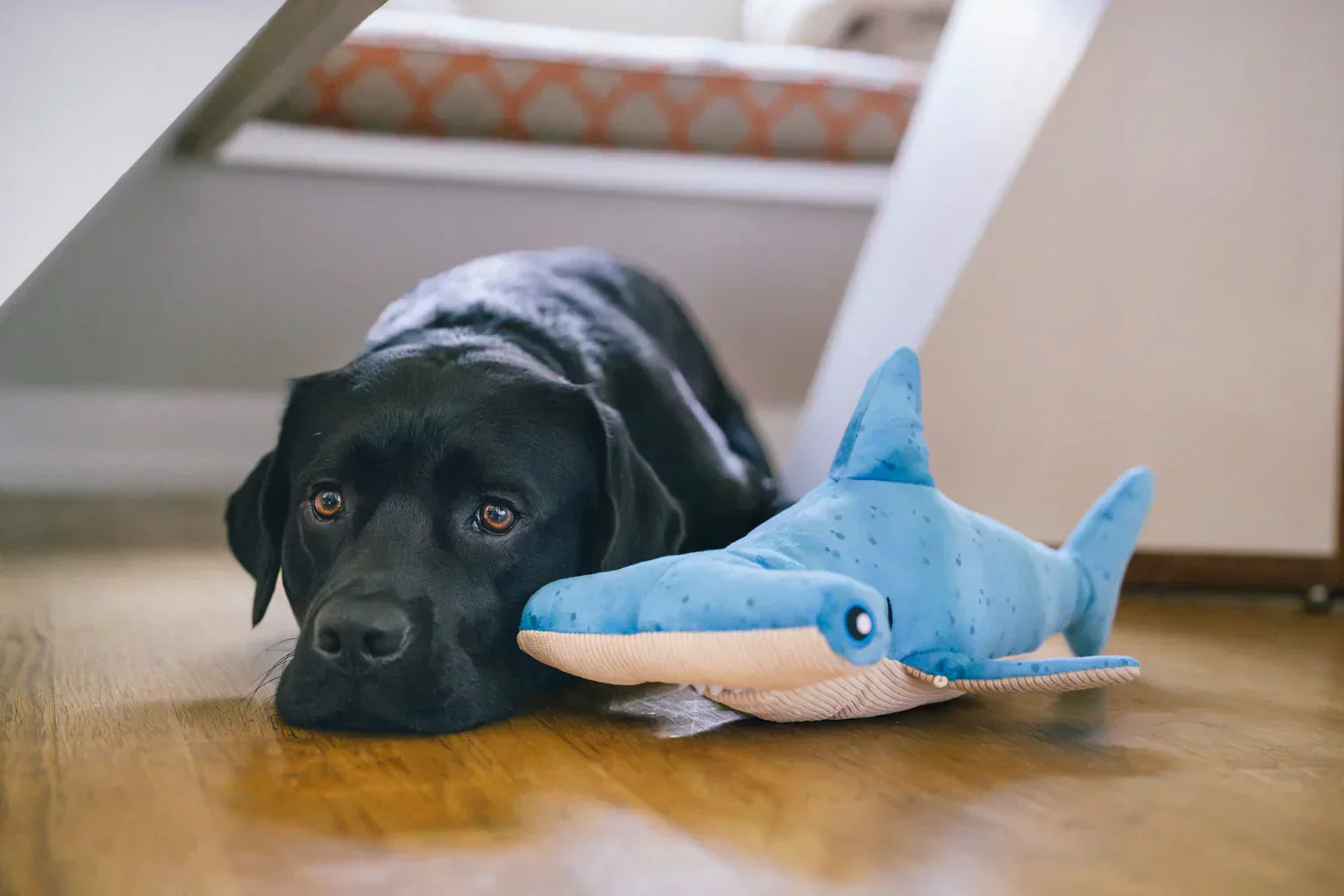 Ocean Buddies - Hammerhead Shark - Large