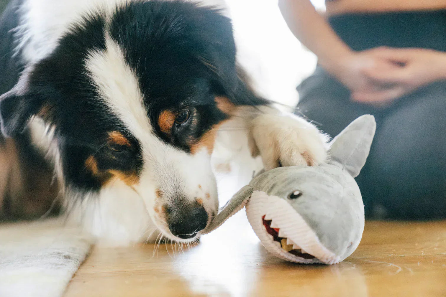 Ocean Buddies - Great White Shark - Large