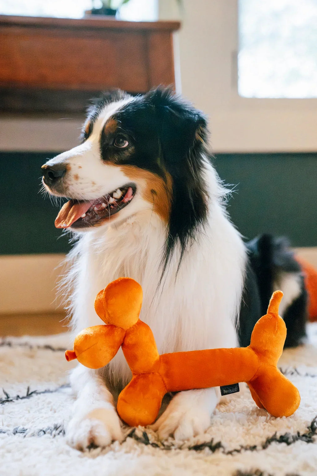 Party Animal - Balloon Dog Buddy - Dog Toys