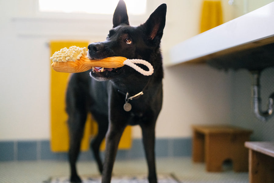 Splish Splash - Bark n' Bristles