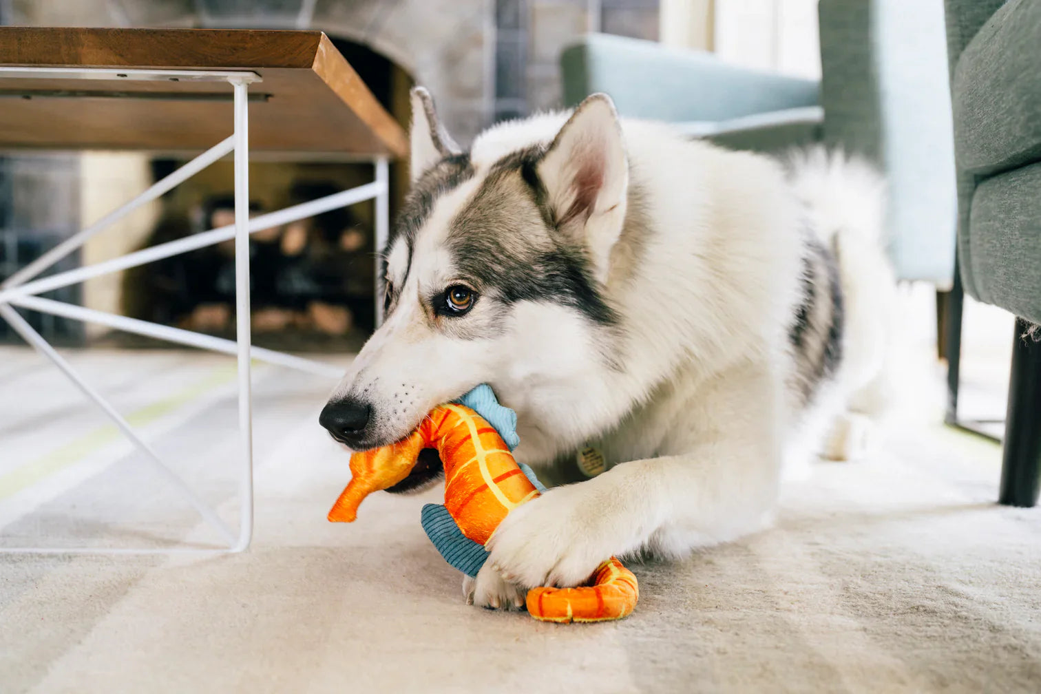 Ocean Buddies - Deep Sea Seahorse - Dog Toys