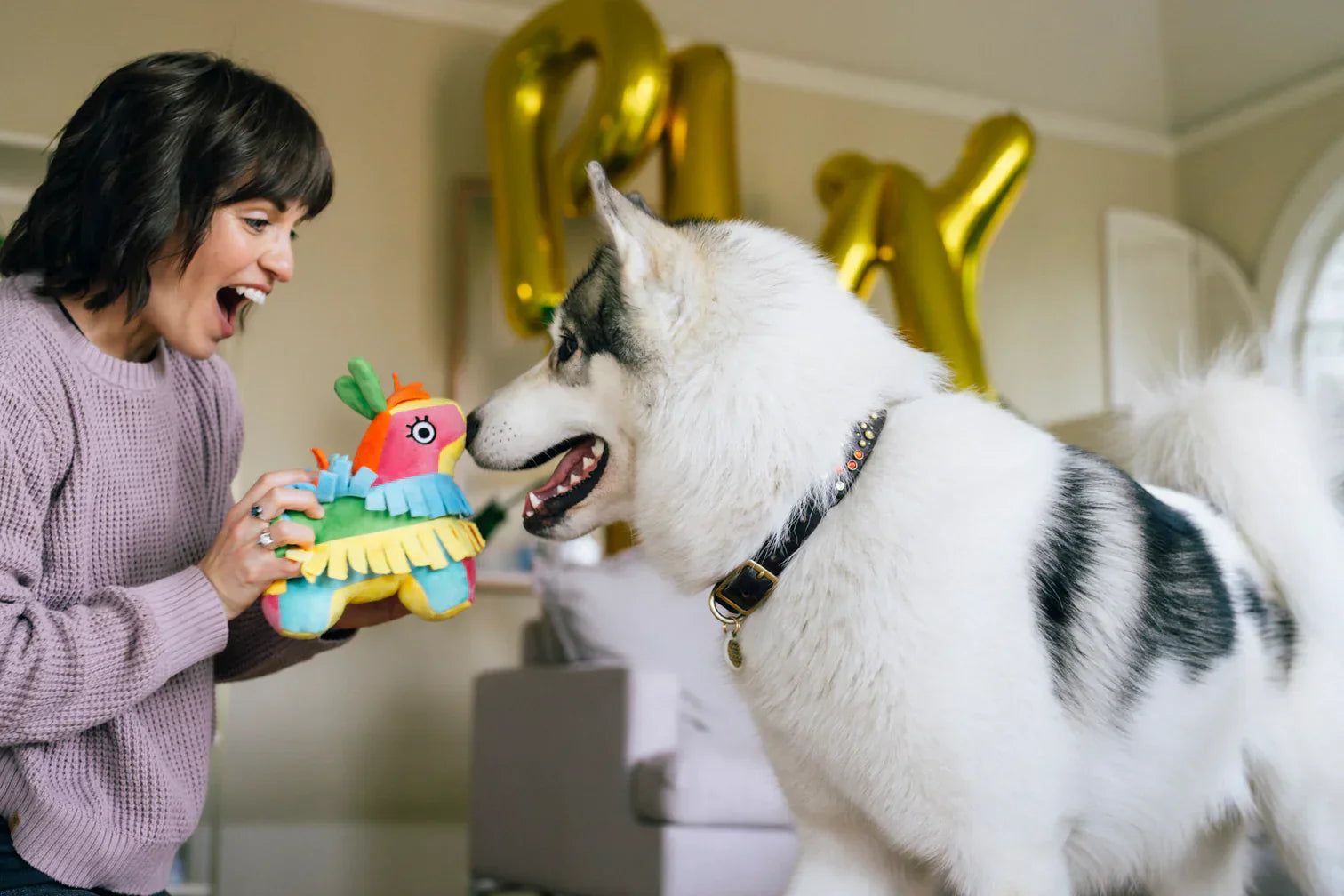 Party Animal - Fiesta Fetch Pinata - Dog Toys