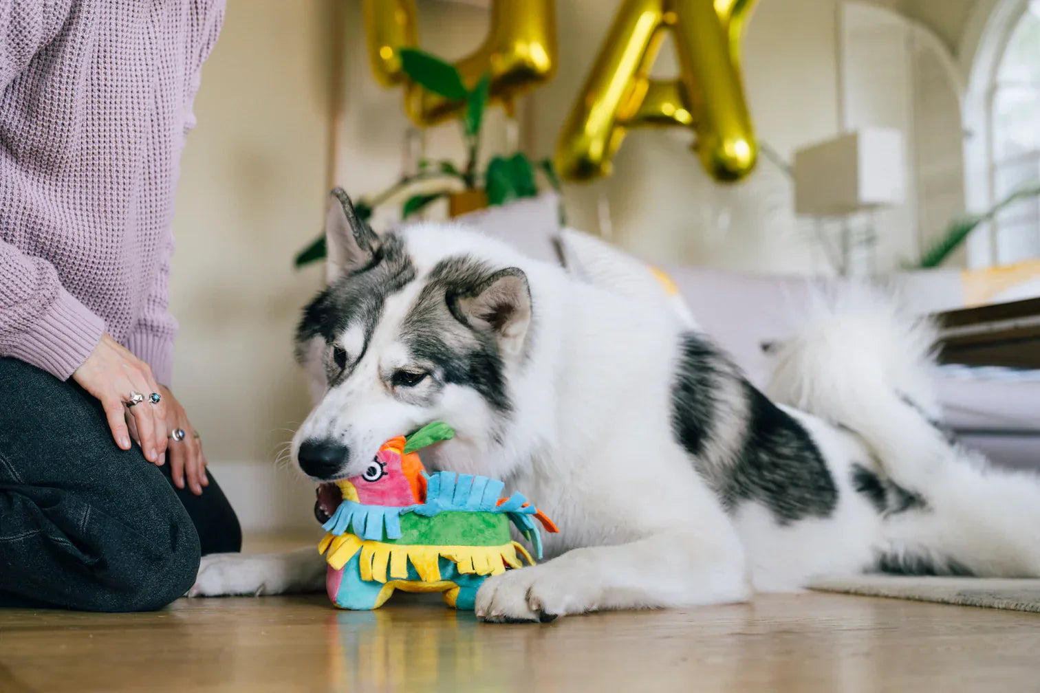 Party Animal - Fiesta Fetch Pinata - Dog Toys