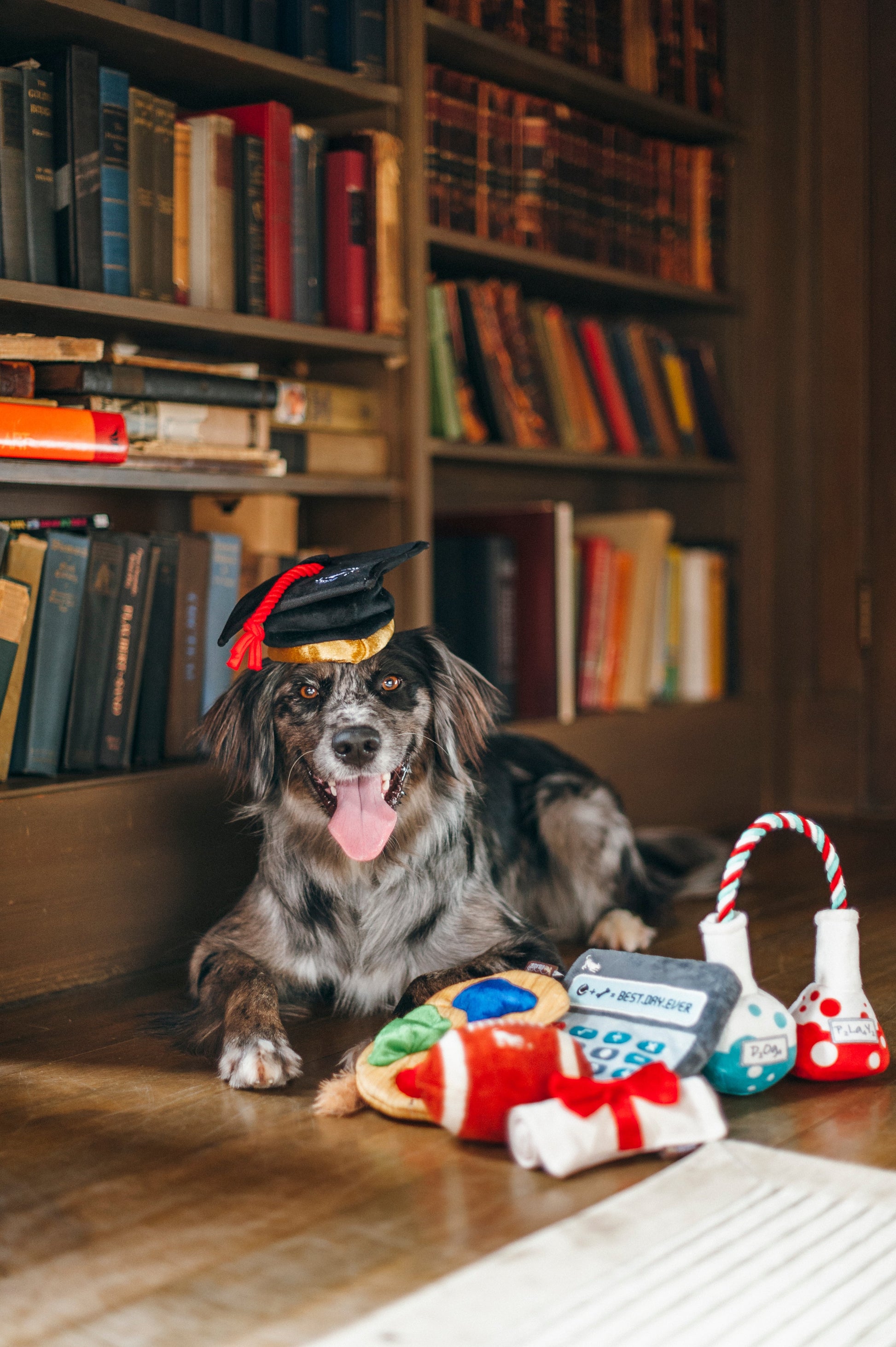 P.L.A.Y. Back To School Puppy's Palette Plush Dog Toy