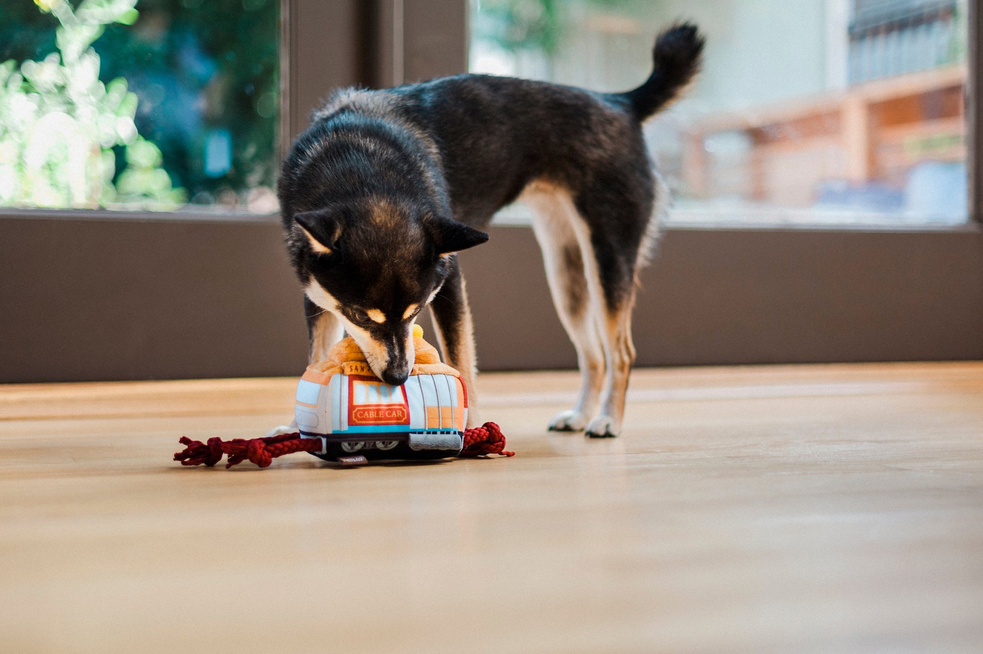 Canine Commute San Pup-cisco Cable Car