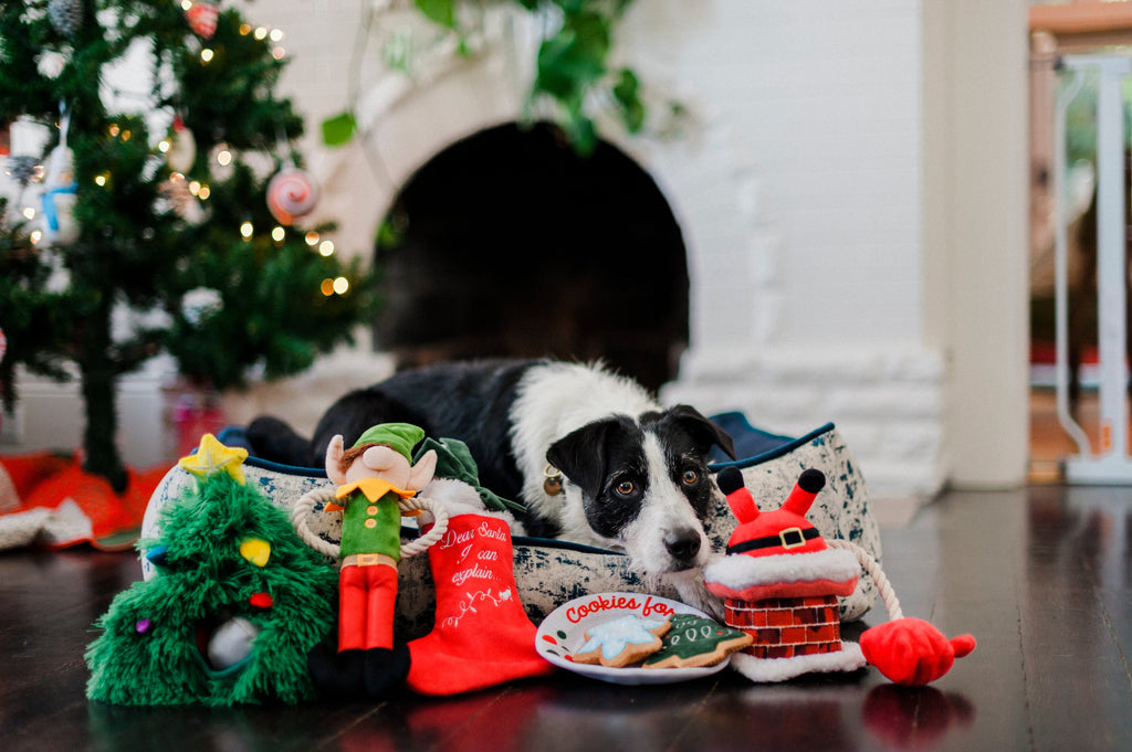 Merry Woofmas Doglas Fur