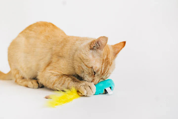 Feline Frenzy - Pop, Fizz, Meow