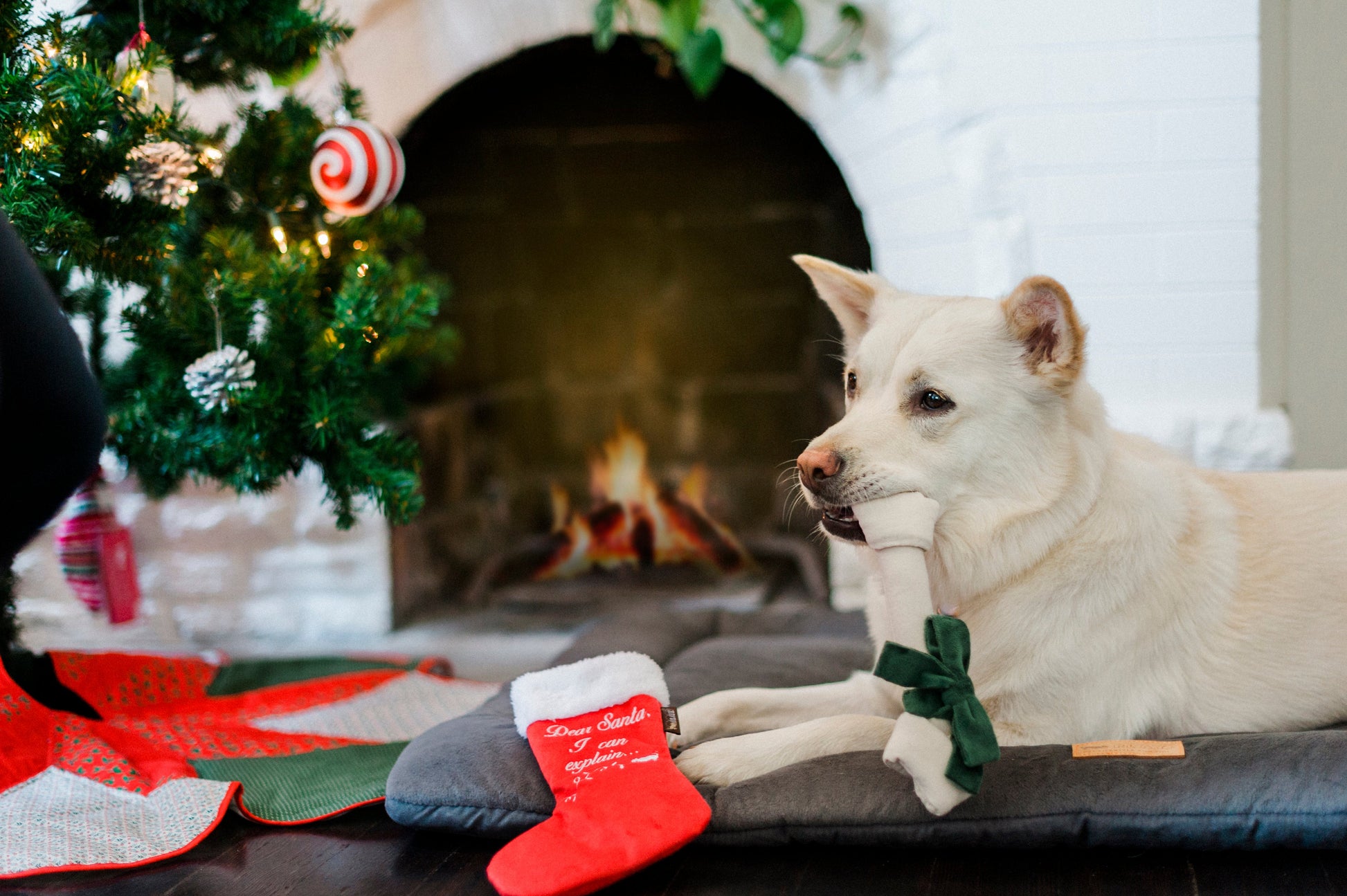 Merry Woofmas Good Dog Stocking & Bone 2 Piece Set