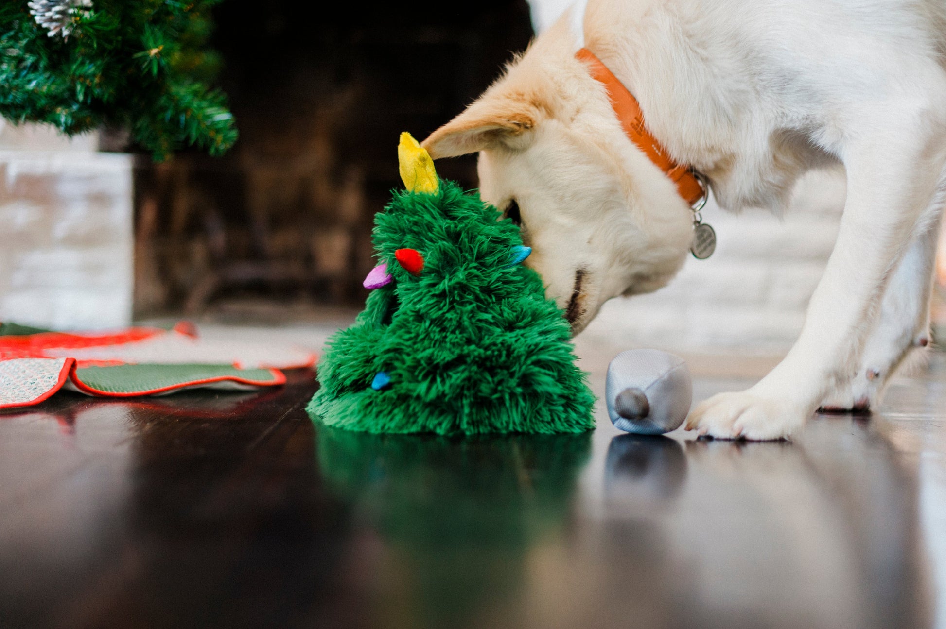 Merry Woofmas Doglas Fur