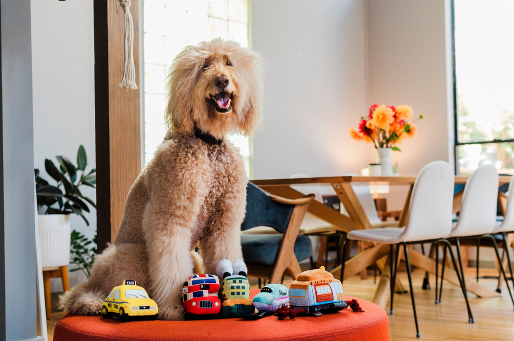 Canine Commute London Bus