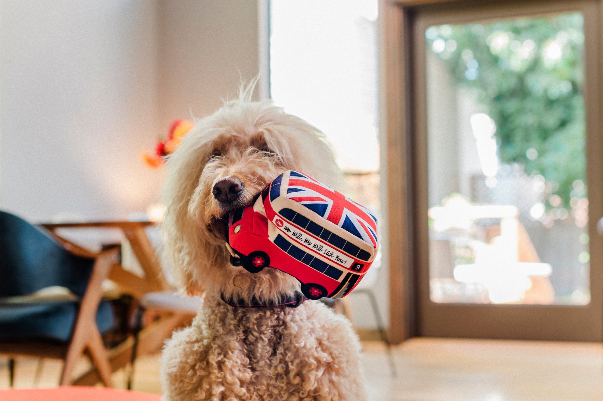 Canine Commute London Bus